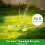 Water Efficient Triple Arm Sprinkler With Rapid 5 Second 6