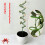 Reusables Protective Layer Plant Frame For Tomato Other Climbing 6