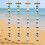 Windspiele aus Glas mit Griff für Strandpartys in Haus- oder 6