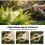 Professional Stainless Steel Waterer Device With Foam Nozzle 6