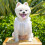 Pet Supply-Blau M 6