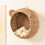 Wall Mounted Floating Shelf for Plant Figurines Display, Rattan 5