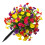 Piquet de fleur de gloire du matin-Couleurs mélangées 1
