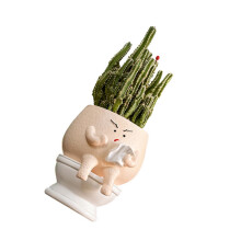 Mode-hars toiletbloempot voor kamerplant met goede