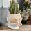 Artistic Recycled Toilet Shape Flower Container Resin Texture 2