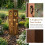 Stabile, hohe Metall-Gartendekoration mit kunstvoll-C 6