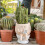 Artistic Recycled Toilet Shape Flower Container Resin Texture 7