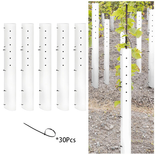5Pcs Tree Seedling Sapling Grow Tube Vented Seedling- 36in 2