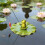 Sculpture Miniature de grenouilles de pêche en résine, 6