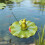 Sculpture Miniature de grenouilles de pêche en résine, 7