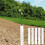 5Pcs Tree Seedling Sapling Grow Tube Standard Vented- 60in 7