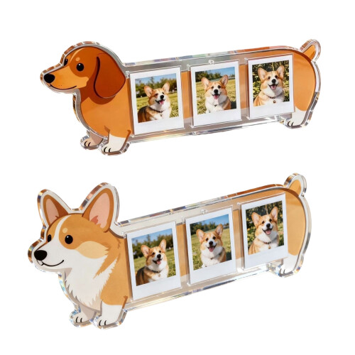 Klarer Acryl-Hunde-Memory-Rahmen, 3 Abschnitte, dekorativer-2 1