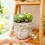 Creative Buddhas Statue Flowerpot Handicrafts Green-Beige 6