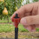 Professional Drip Irrigation Equipment-2L foreigntrademon 5