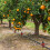 Professional Drip Irrigation Equipment-2L foreigntrademon 6