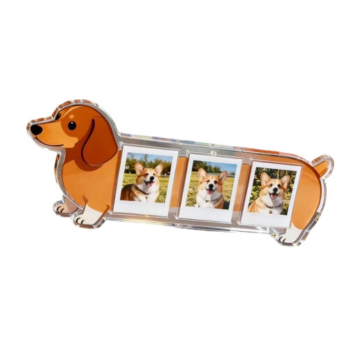 Cadre de mémoire de chien en acrylique transparent, support de-2