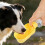 Leak Proof Pet Watering Bottle With Foldable Design For-Yellow 7