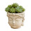 Creative Buddhas Statue Flowerpot Handicrafts Green-Beige 1