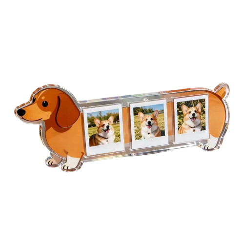 Klarer Acryl-Hunde-Memory-Rahmen, 3 Abschnitte, dekorativer-2