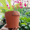 10Pack Durability Succulents Pot Hangers Weatherproof-hanging 6