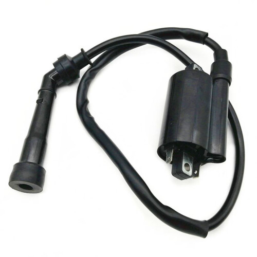 2pcs Motorcycle Ignition Coil Ignition System Unit for  V Star 650 1999 -2014 GN250 ATV 300CC 1