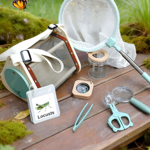 Groupe complet d'observation des insectes avec vitrine en bois 1