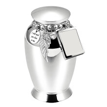 Pet Ashes Casket Urn Casket Jar for Animal Pet Mom Urn-Silver