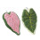 Caladium Hand Towels for Bathroom Kitchen Microfiber Hand-Mix 1