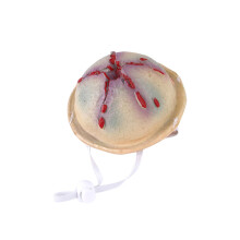 Unique Halloween Pet Decorations For Dog Cats Comfortable And-3
