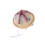 Unique Halloween Pet Decorations For Dog Cats Comfortable And-3 1
