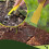 Garden Manual Weeder Simple Weed Puller Weeding Knife Garden Weeding Tool 5