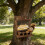 Decorative Garden Creature Feeding Station Open Structure-small 5