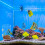 Simple Setups Aquariums Feeders Circle Transparents-square1 3