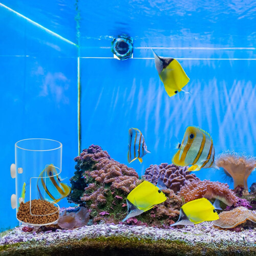 Simple Setups Aquariums Feeders Circle Transparents-square1 2
