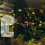 Simple Setups Aquariums Feeders Circle Transparents-square1 6