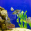 Simple Setups Aquariums Feeders Circle Transparents-square1 7