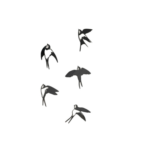 Acrylic Mirror Wall Sticker Removable Bird Wall Decal-Black S
