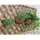 Replaceable Thick Coconut Liners Strong Water Absorption-3 6