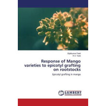 Response of Mango varieties to epicotyl grafting on rootstocks