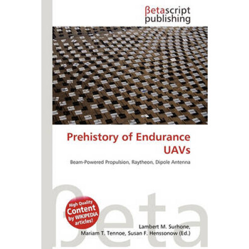 Prehistory of Endurance UAVs