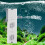 Rainfall 6W Filter 62x59x200mm Weiß 220V 8