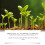 Lightweight Soil Enhancing Boosts Nutrient Absorption Soil 5