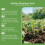 Lightweight Soil Enhancing Boosts Nutrient Absorption Soil 7