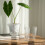 6 Pieces Highly Observable Horticulture Vessels-cream white 3