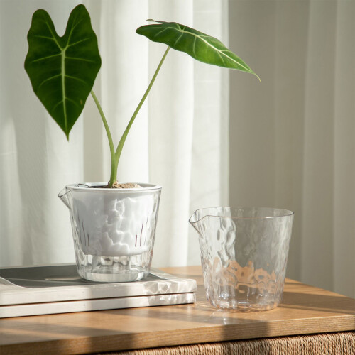6 Pieces Highly Observable Horticulture Vessels-cream white 2