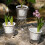 6 Pieces Highly Observable Horticulture Vessels-cream white 5