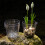 6 Pieces Highly Observable Horticulture Vessels-cream white 7