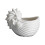 Multifunctional Ceramic Conch Shape Aromatherapies Candle-White 1