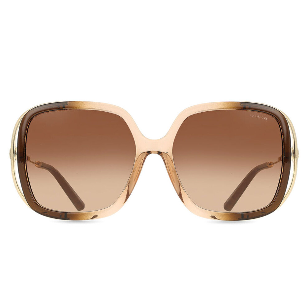 Coach Hc8423u Cad80 576974 Women New Sunglasses Brown