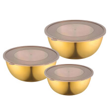 Modern Stainless Steel Mixing Bowl Set Transparent Cover-Gold